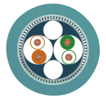 Сетевой кабель-VS-M12FSBP-OE-93E-LI/2,0