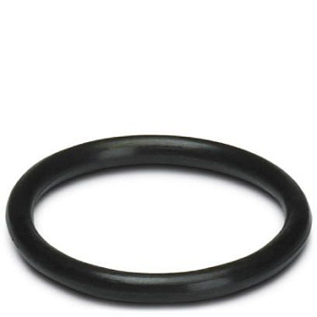 Уплотн. кольцо-WP-OR M10