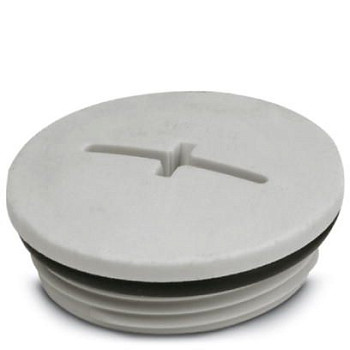 Резьбовой колпачок-A-INSP-M40-68N-P-LG