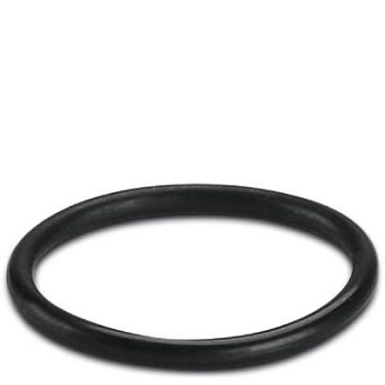 Уплотн. кольцо-WP-OR M25