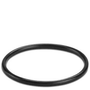 Уплотн. кольцо-WP-OR PG29