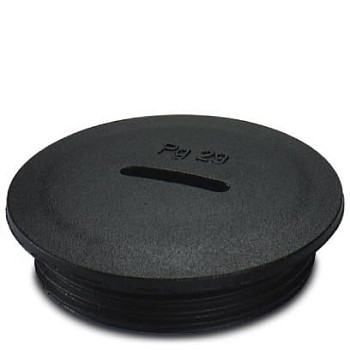 Резьбовой колпачок-A-INSP-PG29-65N-P-BK