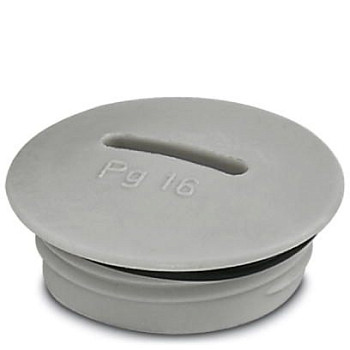 Резьбовой колпачок-A-INSP-PG16-65N-P-LG